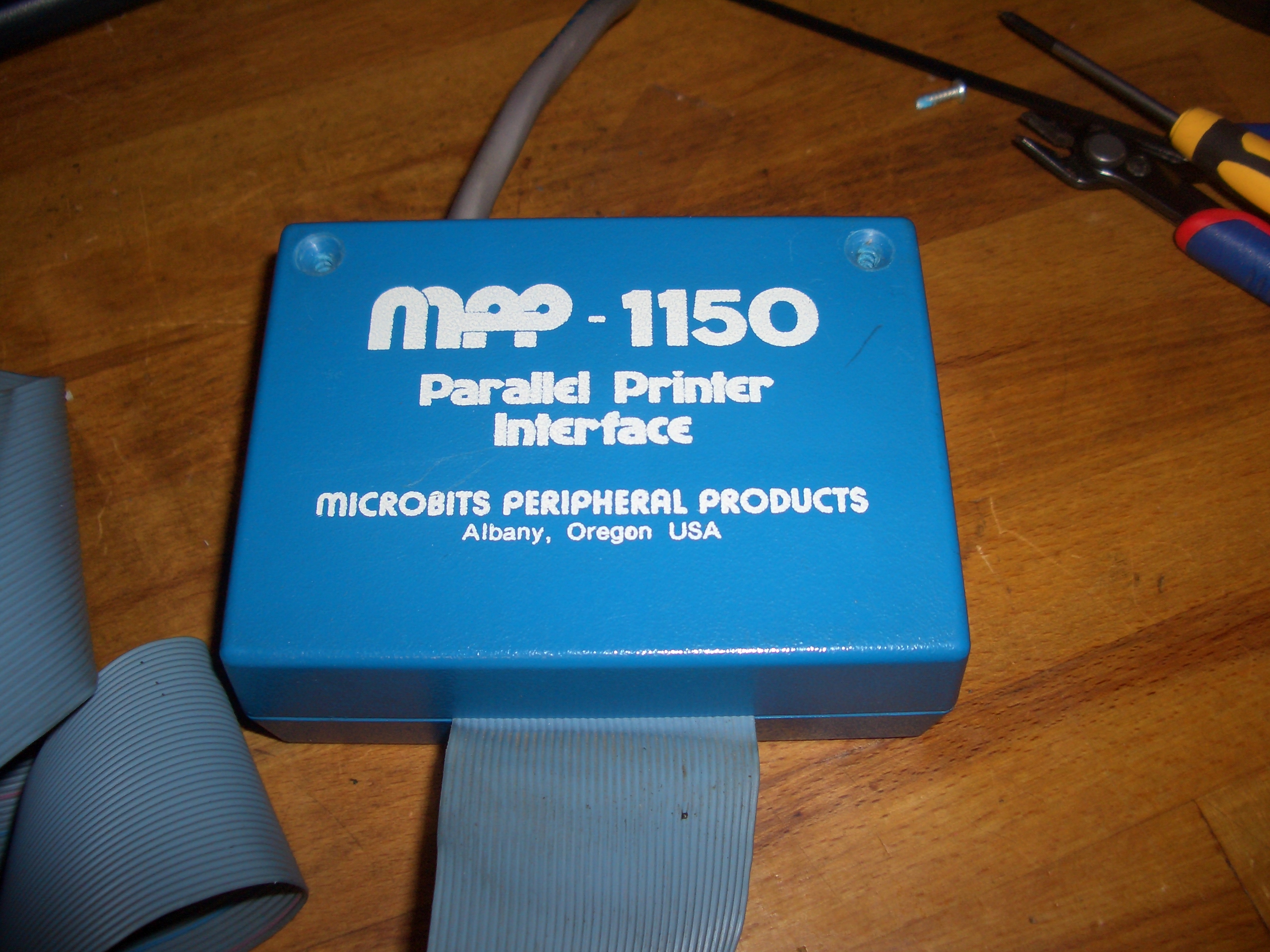 CIMG7303.JPG